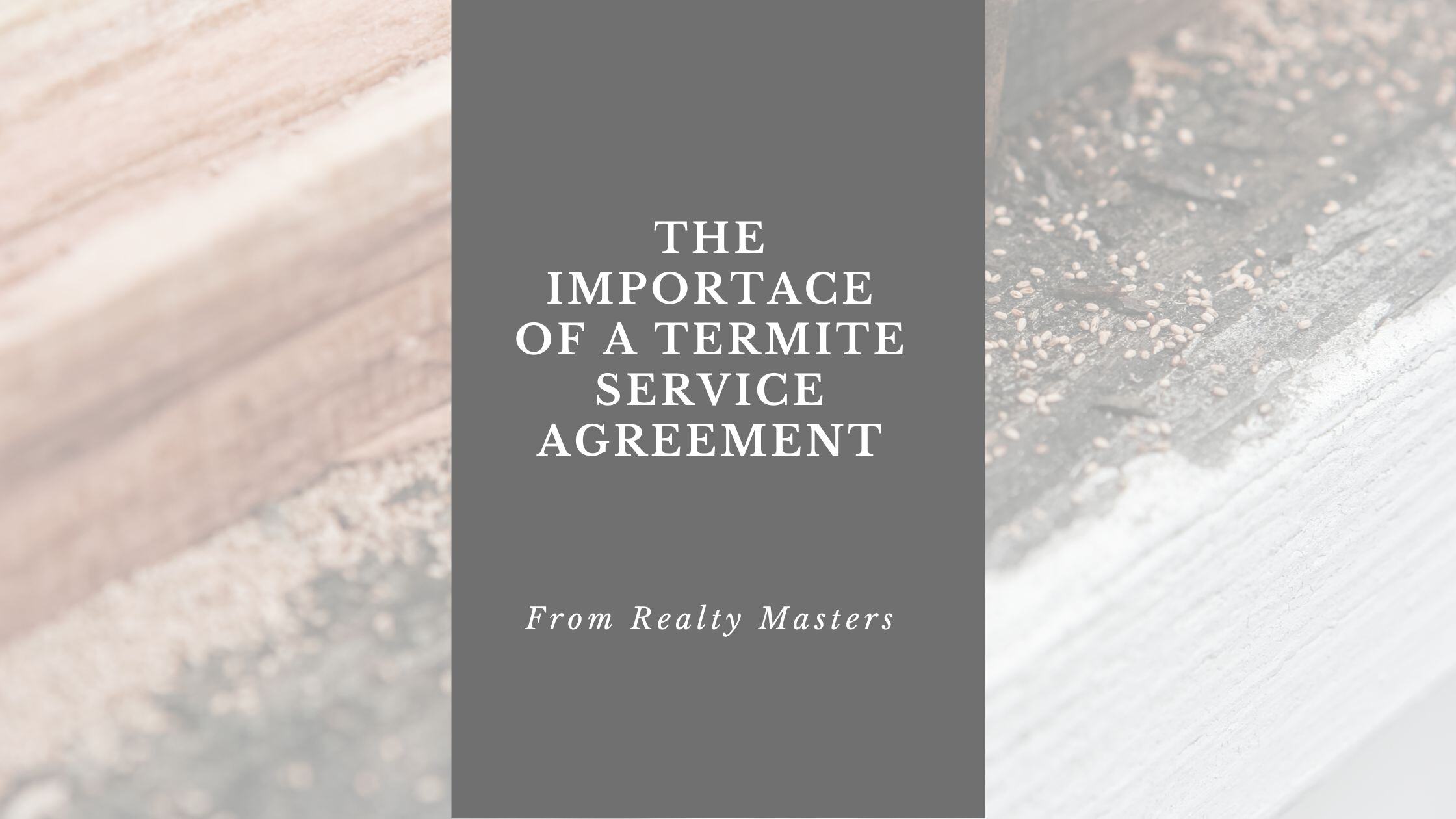 The Importance of a Termite Service Agreement